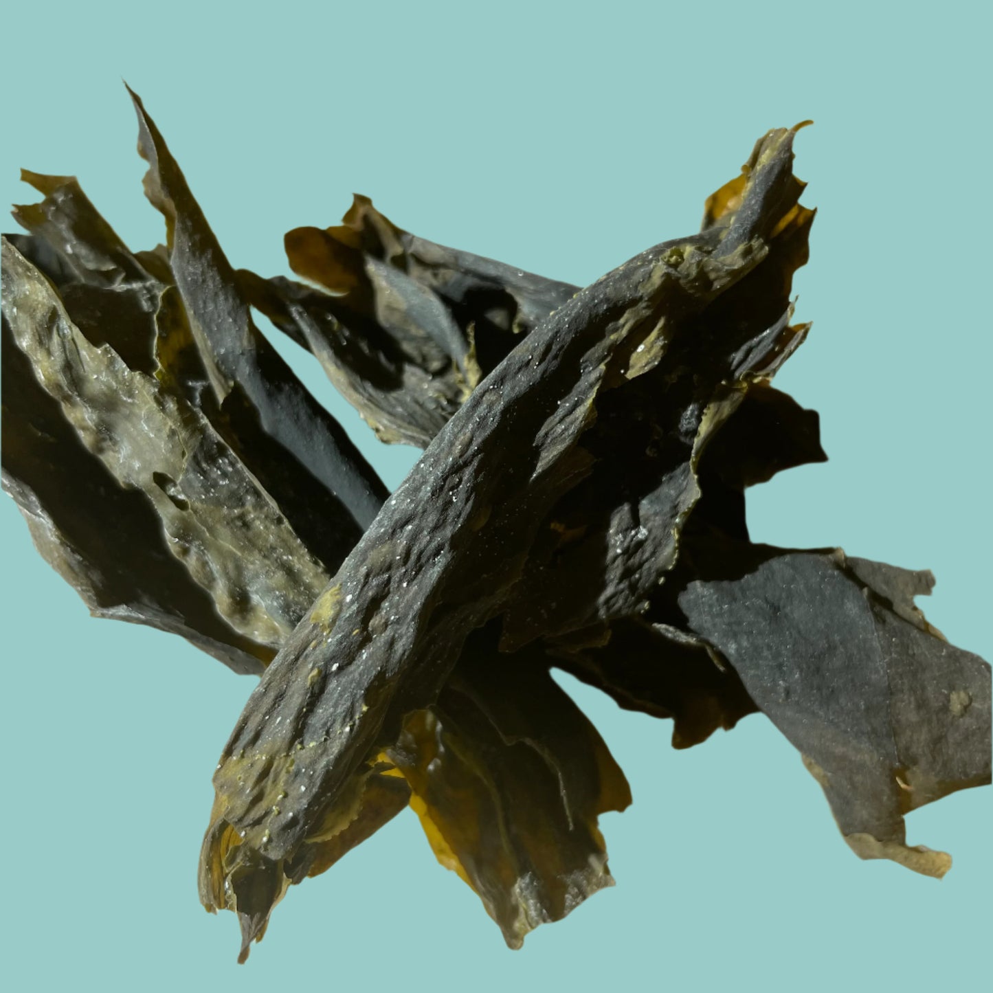 Southern Seagreens Dried Wakame Raw Australian Seaweed