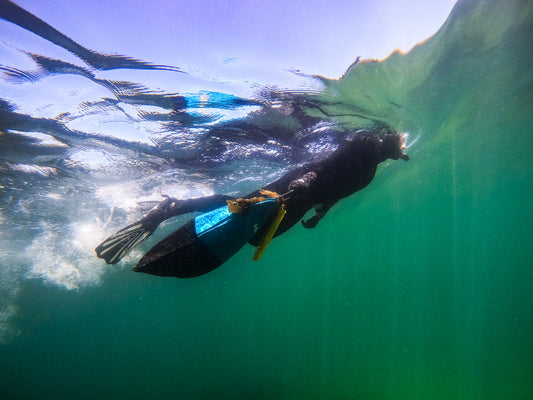 Diving for Seaweed