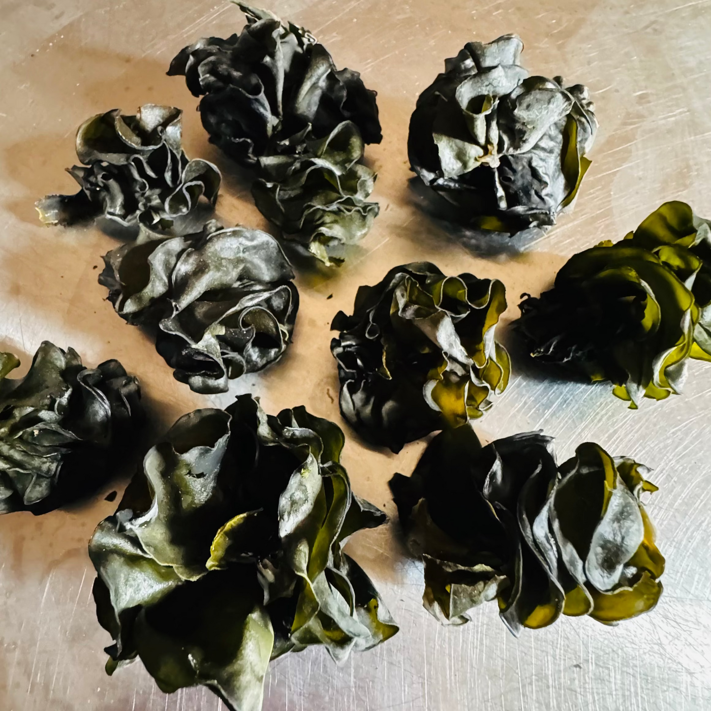 Southern Seagreens Australian mekabu  seaweed from Wakame plant