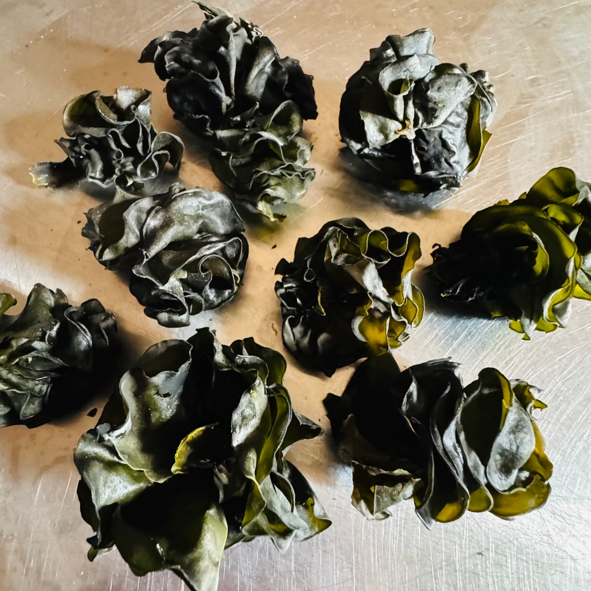 Southern Seagreens Australian mekabu  seaweed from Wakame plant