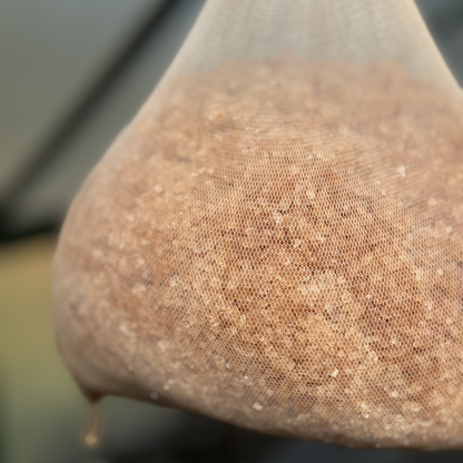 Wakame Brine Sea Salt 35g - Southern Seagreens Australian seaweed condiment